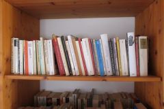 Bücherwand-im-Schlafzimmer