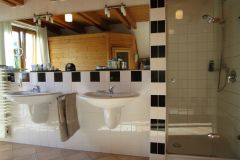 Bad-Dusche-Waschbecken-Sauna-im-Spiegel